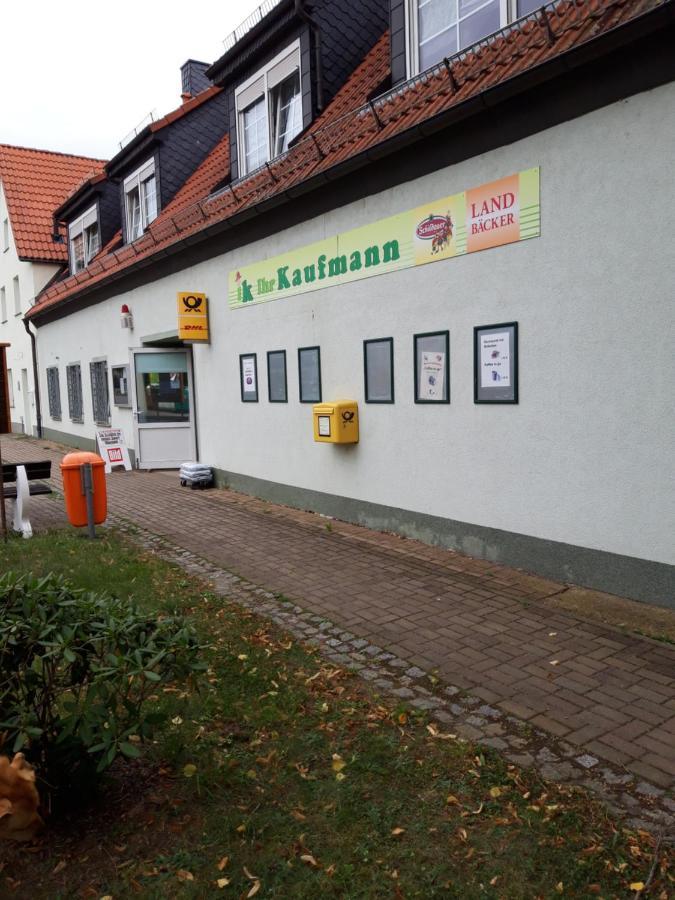 Apartmán Wildholz Sachsen Weidenhain Exteriér fotografie
